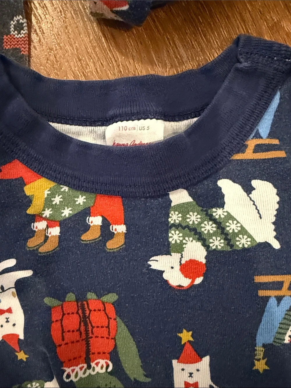 Hanna Andersson Kids Blue Holiday Pajama Set